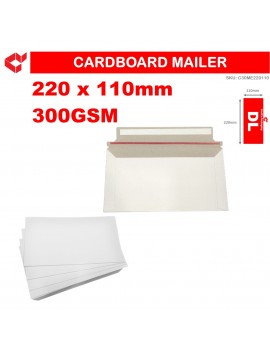 LindCo DL size Semi-rigid mailer box/envelope value pack - more sizes and rigidity available at LindCo Packaging